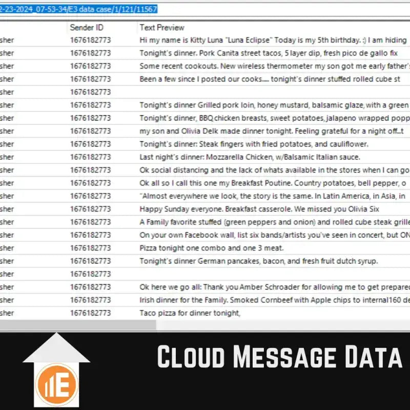 Cloud-Nachrichtendaten für digitale Ermittlungen mit Nachrichten, Absender-IDs und Vorschau, dargestellt auf einem Screenshot