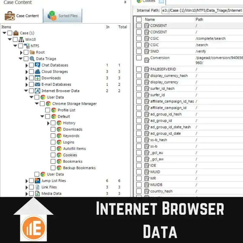 Screenshot of E3:COMPUTER forensic tool showing internet browser data visualization and case content.